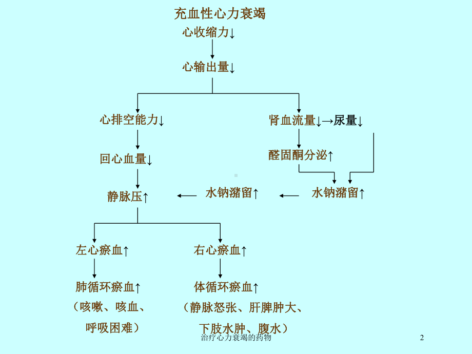 治疗心力衰竭的药物培训课件1.ppt_第2页