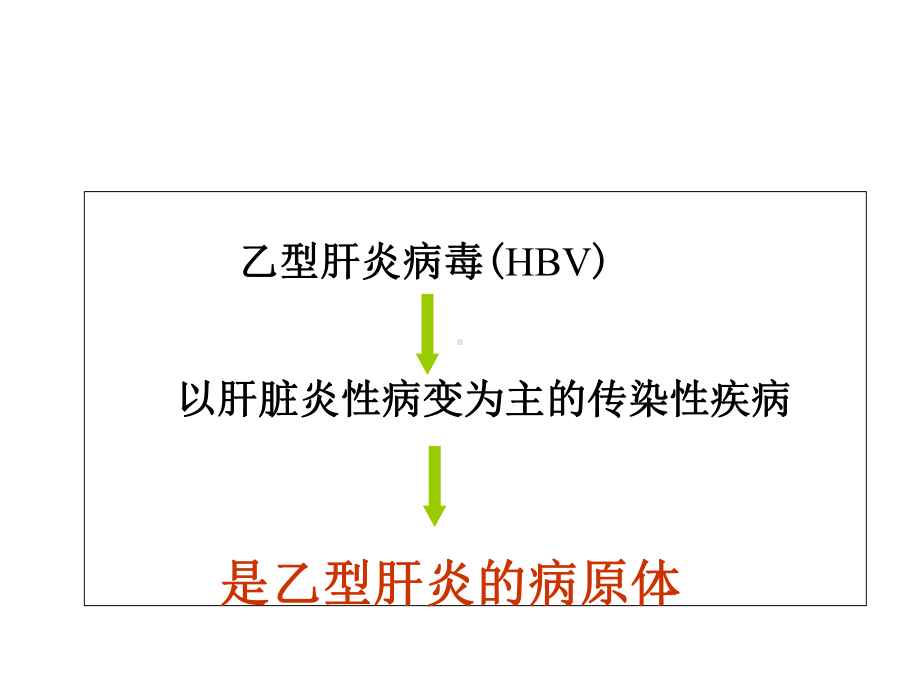 乙型肝炎病毒微生物学及检验概要课件.ppt_第2页