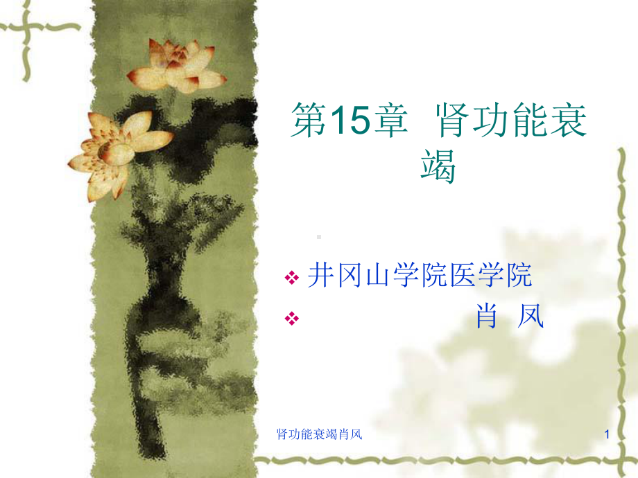 肾功能衰竭肖风课件.ppt_第1页