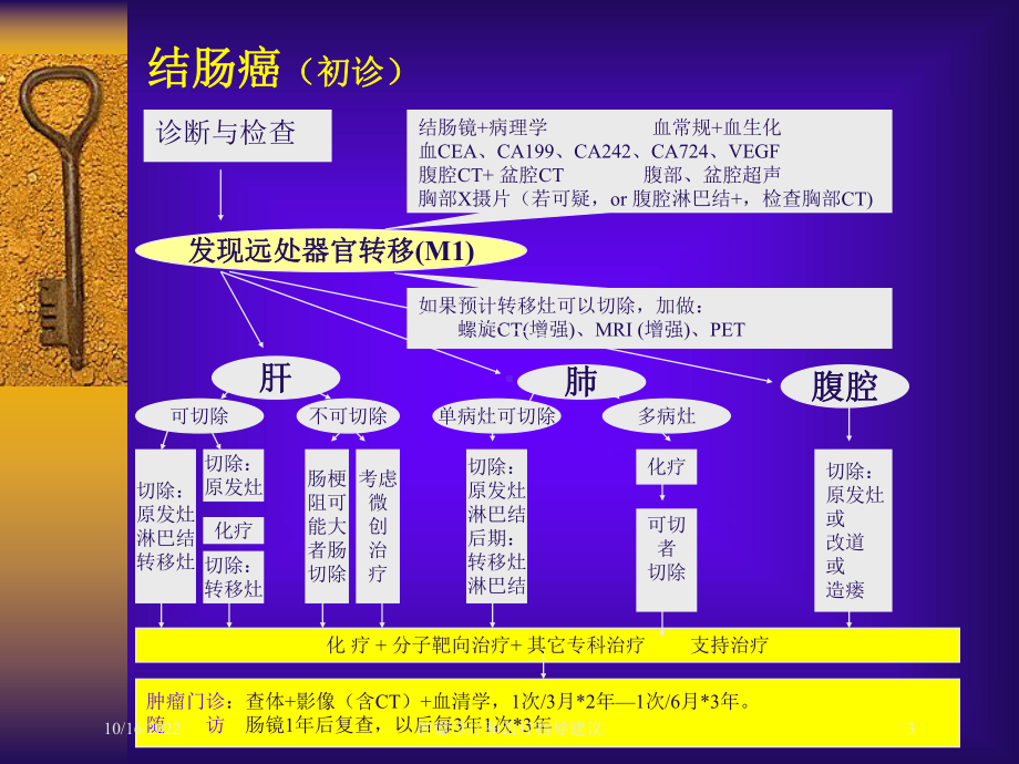 肿瘤诊疗和治疗指导建议培训课件.ppt_第3页