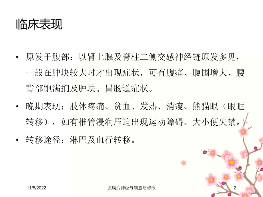 腹膜后神经母细胞瘤修改培训课件.ppt_第2页