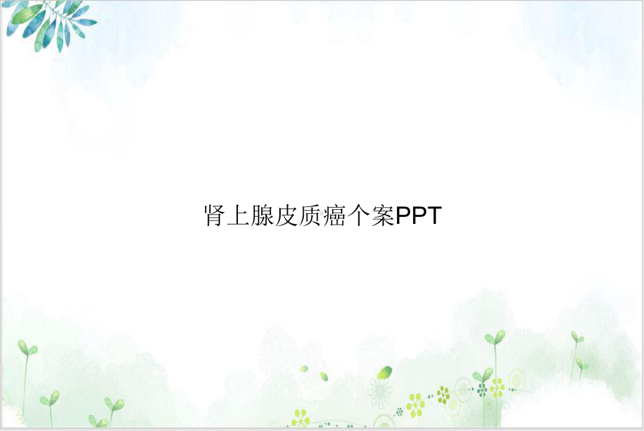 肾上腺皮质癌个案课件.ppt_第1页