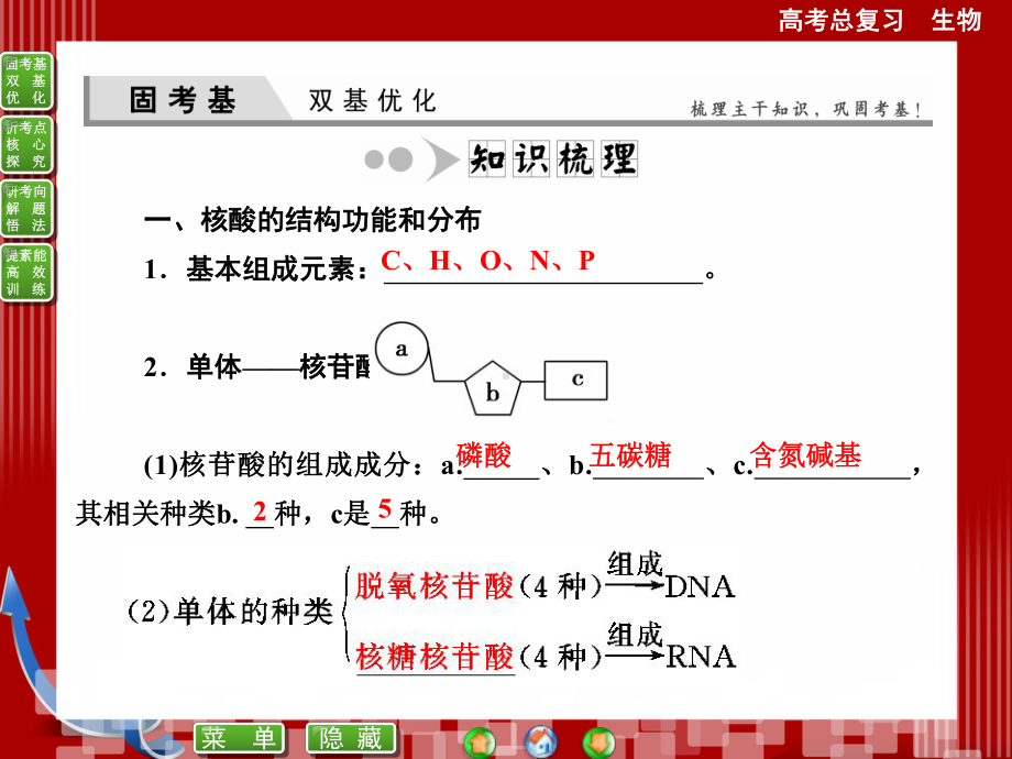 必修一第2章第3讲遗传信息的携带者-核酸细胞中的糖类和脂质课件.ppt_第2页