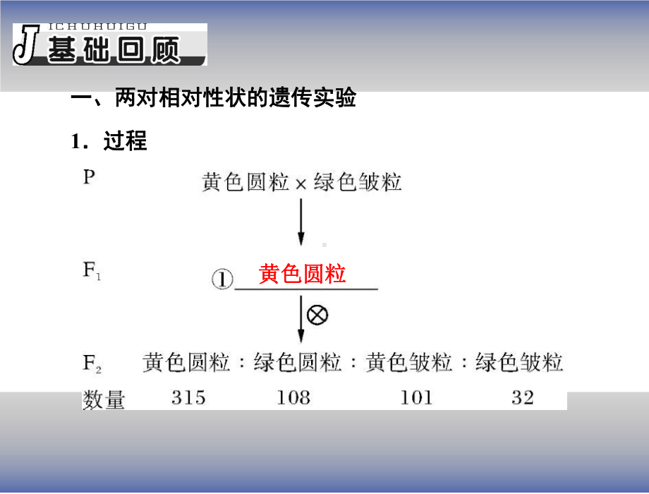 孟德尔的豌豆杂交实验(二)课件.ppt_第2页