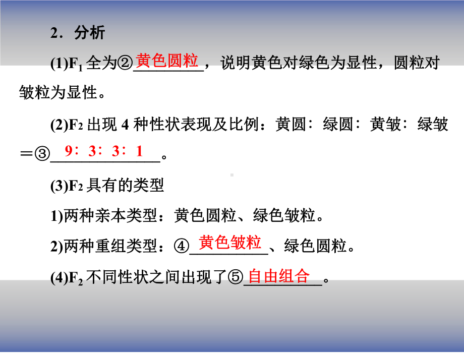 孟德尔的豌豆杂交实验(二)课件.ppt_第3页