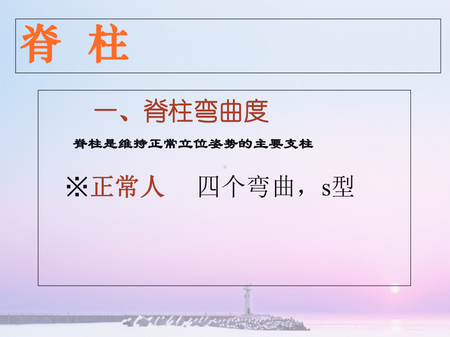 脊柱和四肢体格检查讲义课件.ppt_第2页