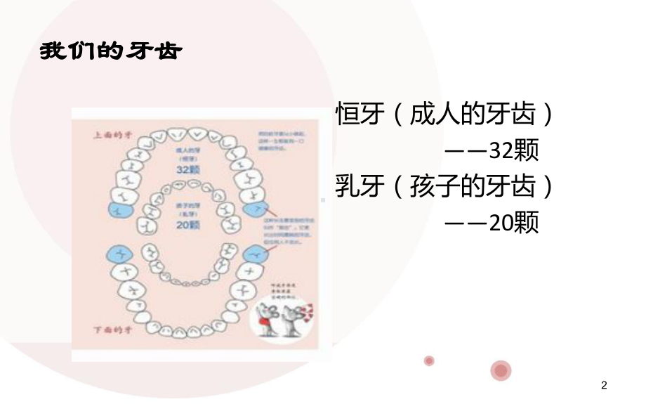 幼儿口腔保健-课件.ppt_第2页