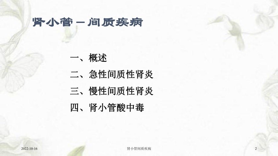 肾小管间质疾病课件.ppt_第2页