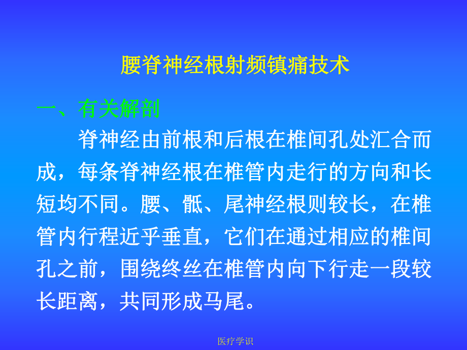 腰骶神经根射频技术课件.ppt_第2页