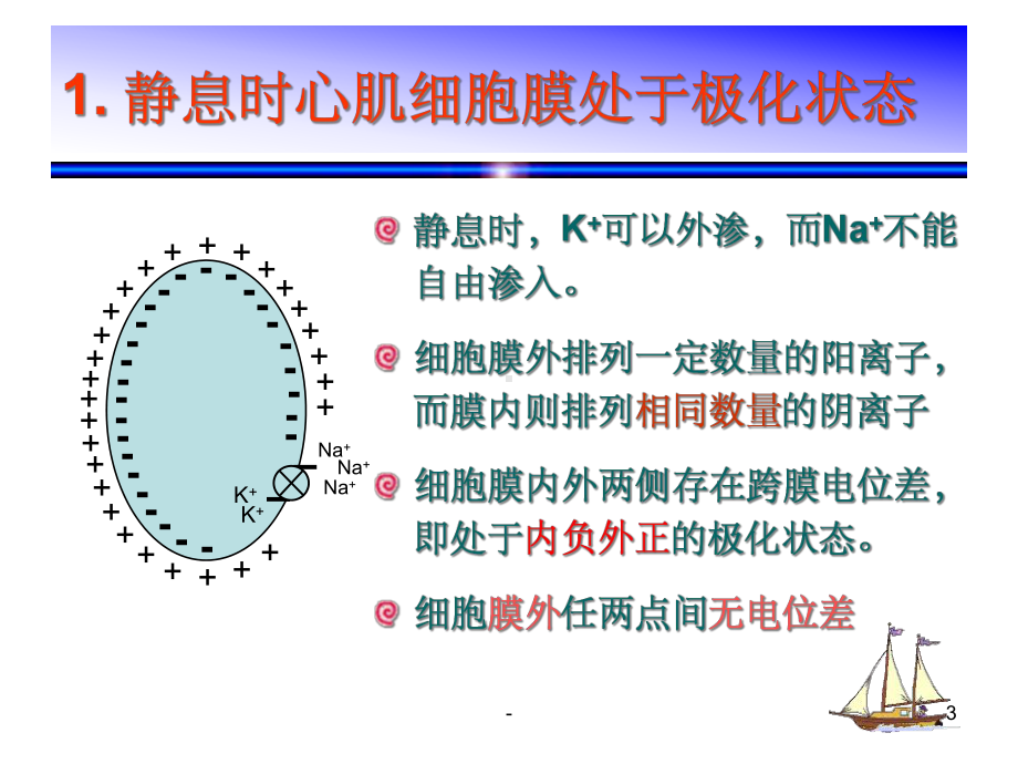 心电图的原理分析-课件.ppt_第3页