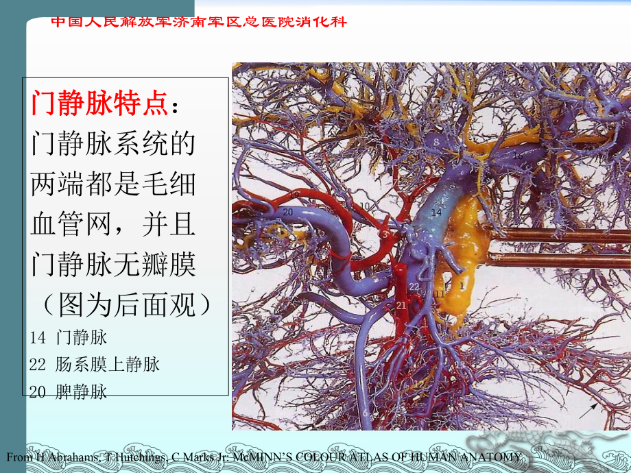 胰源门脉高压学习课件.ppt_第3页