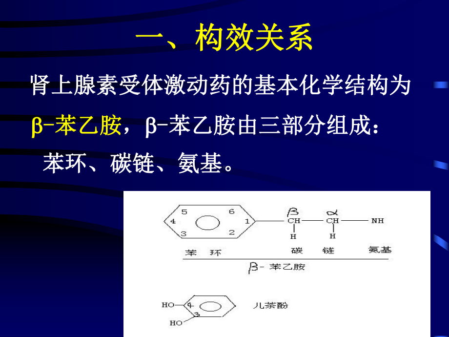 肾上腺素受体激动药推荐课件.ppt_第2页