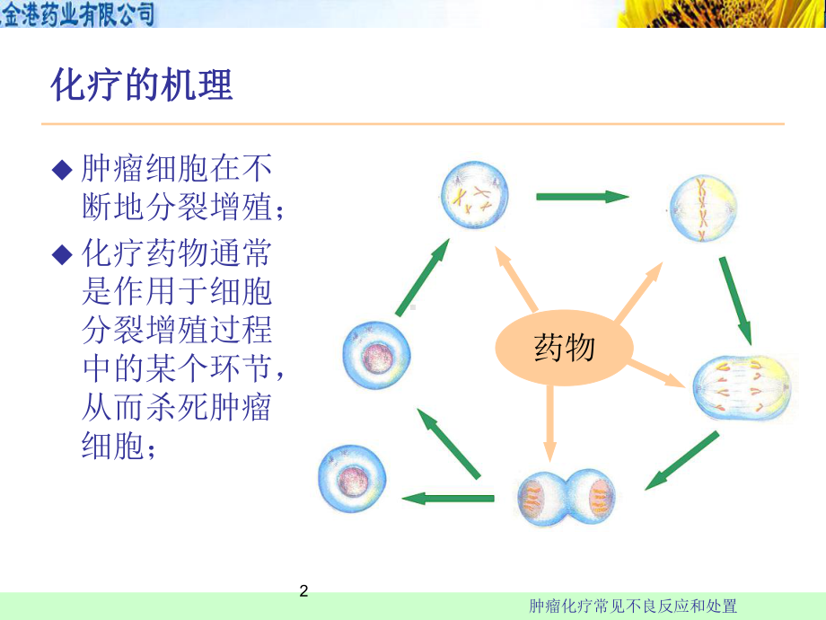 肿瘤化疗常见不良反应和处置培训课件.ppt_第2页