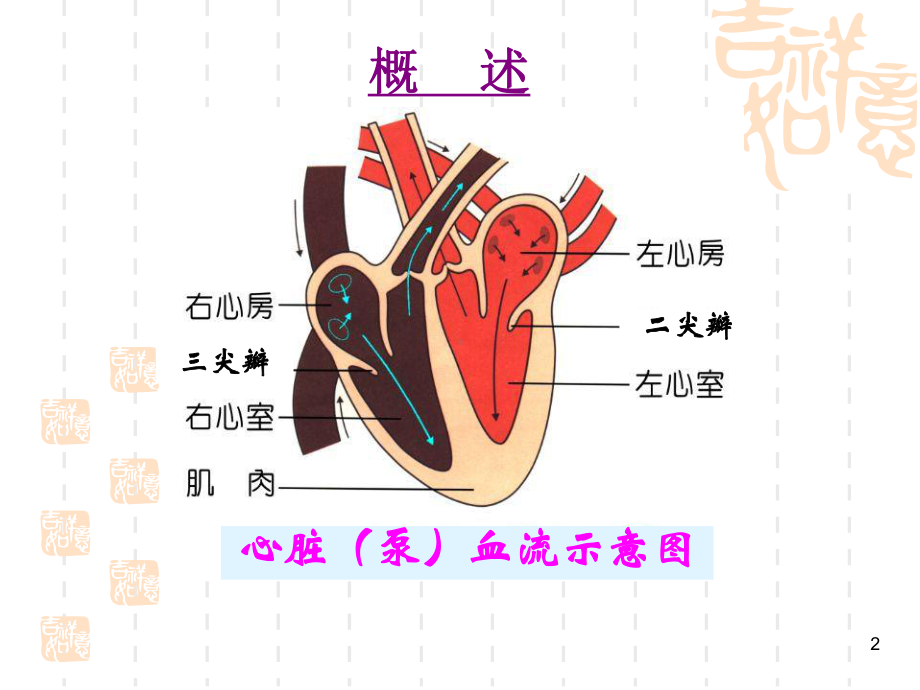 心功能不全的护理查房(课堂)课件.pptx_第2页