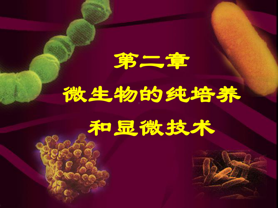 微生物学课件第2章-微生物的纯培养和显微技术.ppt_第1页