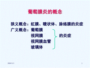 葡萄膜炎扬培增课件.ppt