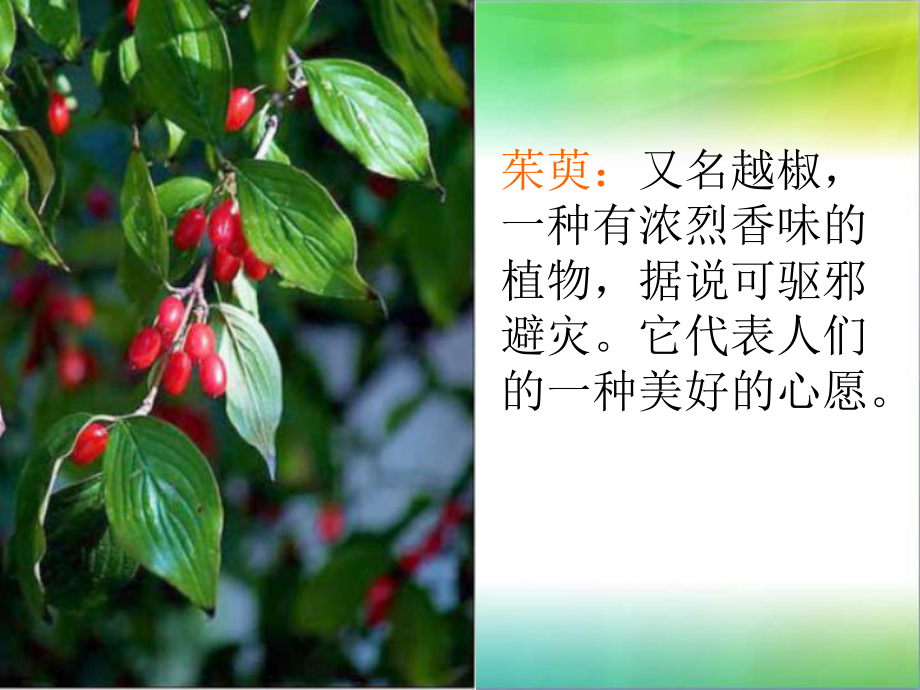 每逢佳节倍思亲课件.ppt_第3页