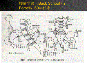 腰腿痛的康复教材课件.ppt