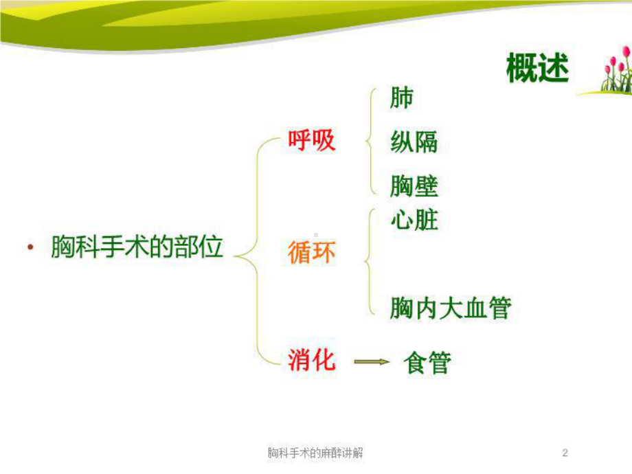 胸科手术的麻醉讲解培训课件.ppt_第2页