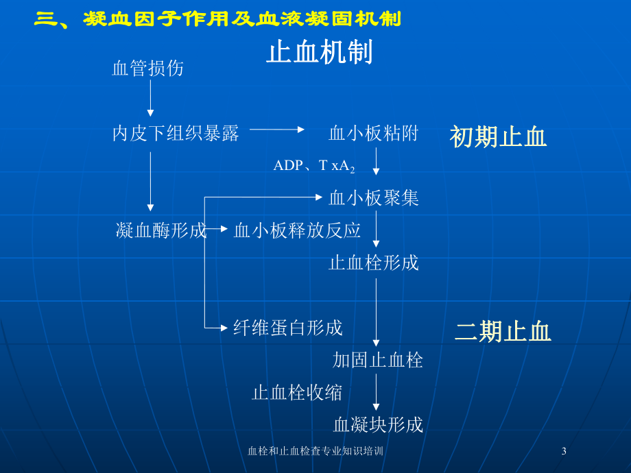 血栓和止血检查专业知识培训培训课件.ppt_第3页