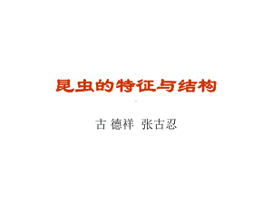 昆虫的特征与结构课件.ppt