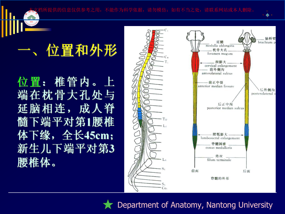 脊髓精细解剖培训课件.ppt_第1页