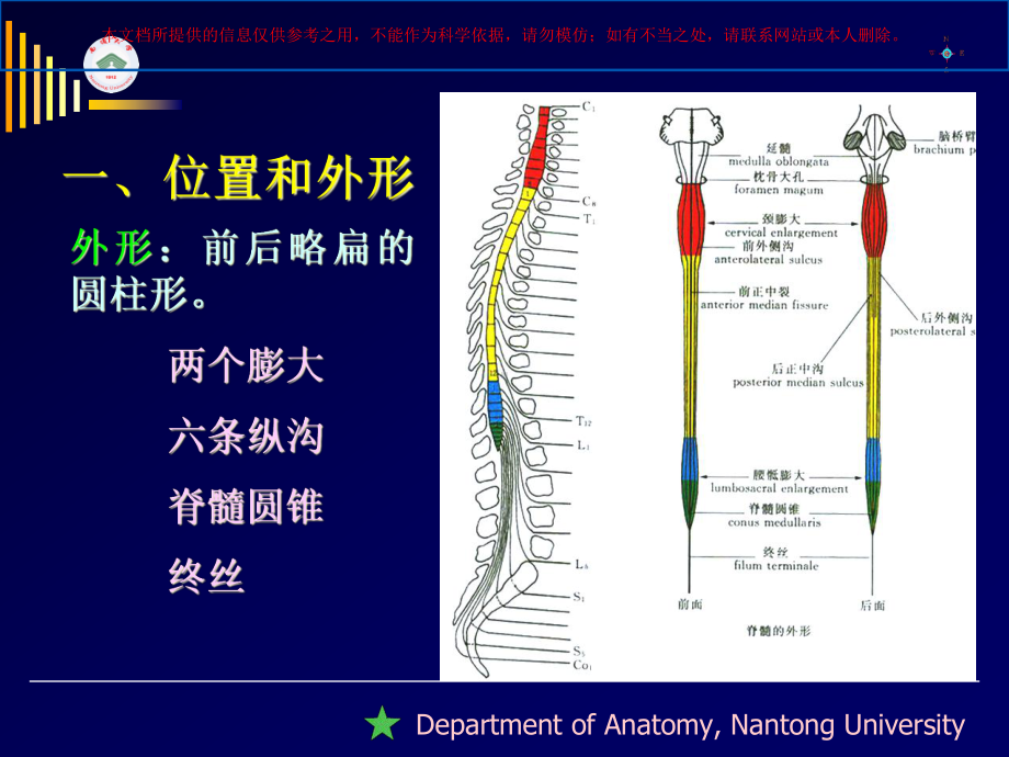 脊髓精细解剖培训课件.ppt_第2页