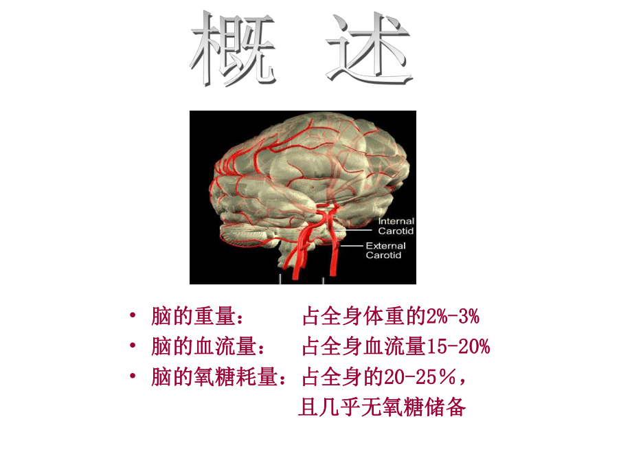 脑缺血缺氧的病理生理及研究进展解析课件.ppt_第2页