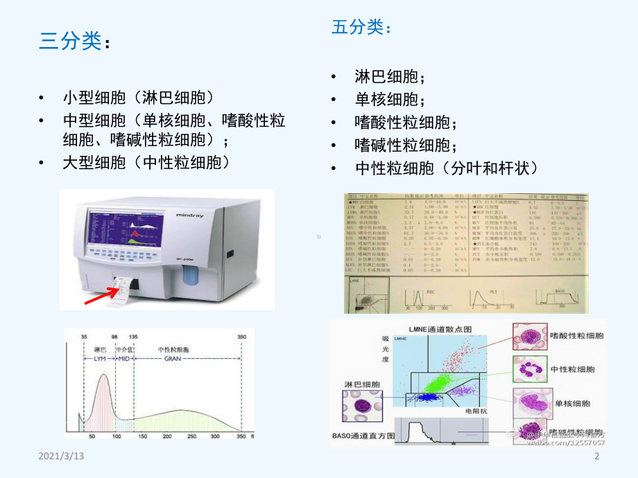 血常规与儿科临床课件.pptx_第2页