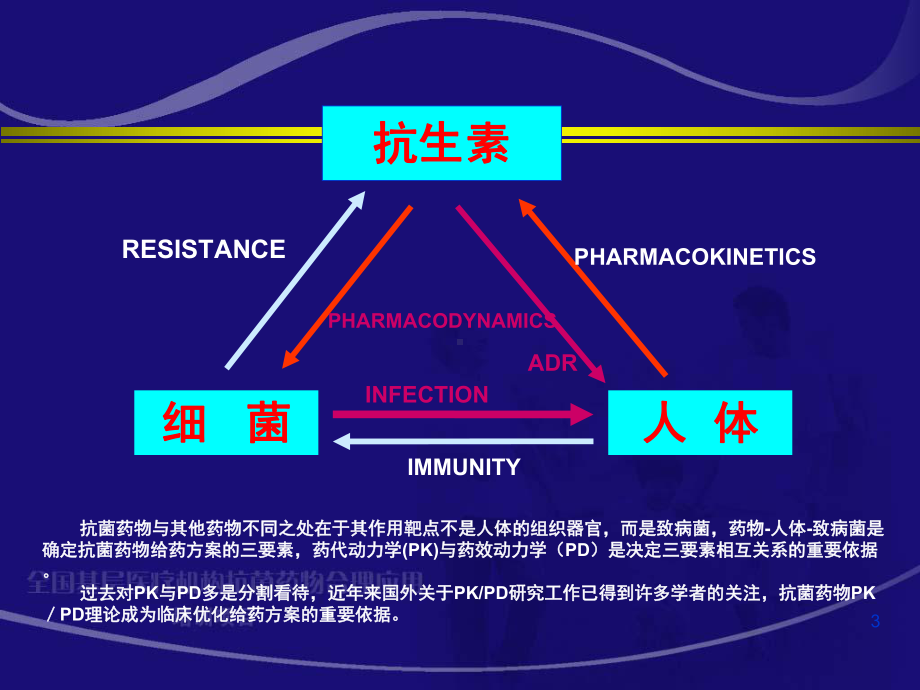 抗感染药物的PKPD研究-课件.ppt_第3页