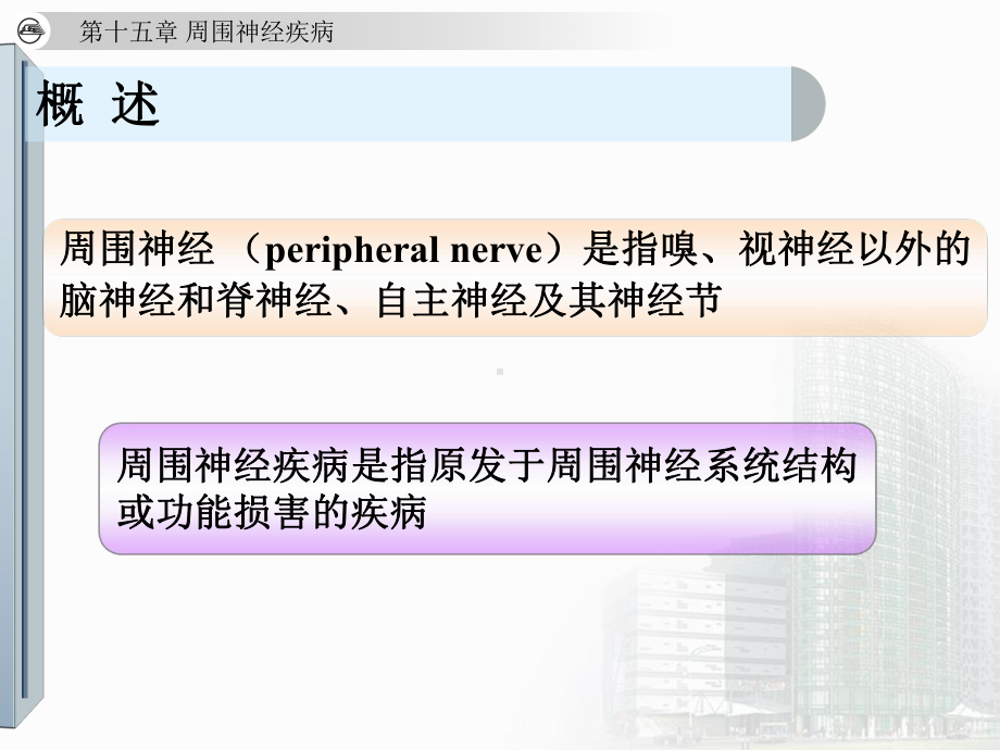 神经内科本科教材-第十五章-周围神经疾病课件.ppt_第2页