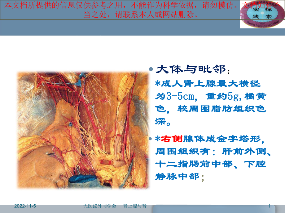 肾上腺的解剖与功能培训课件.ppt_第1页