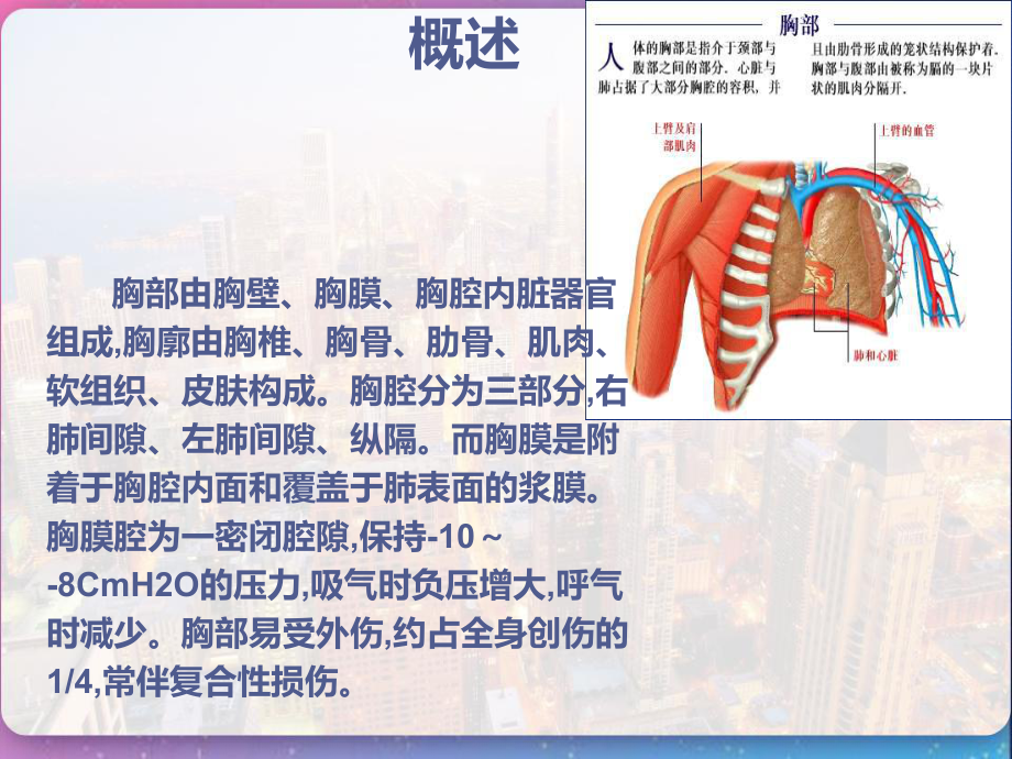 胸部外伤围手术期护理-课件.pptx_第2页