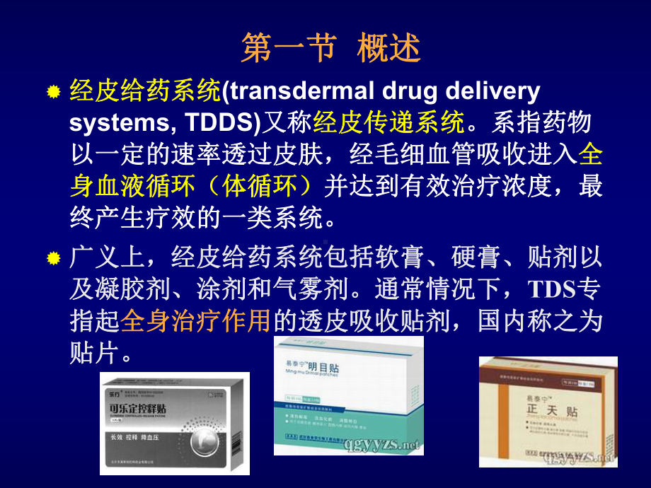 药物透皮给药系统课件.ppt_第2页