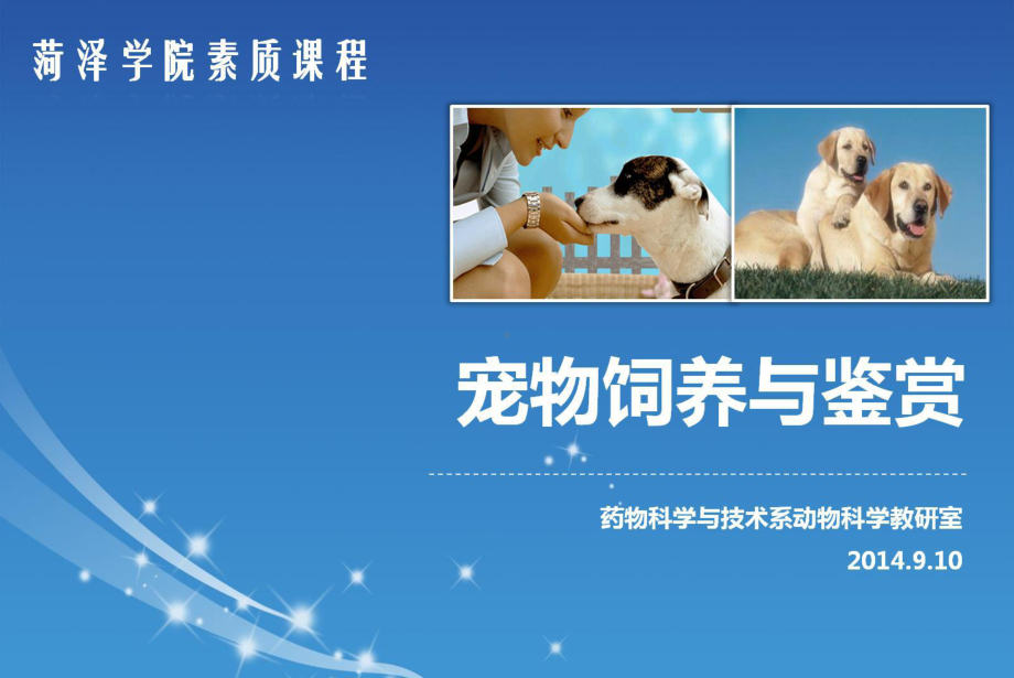 宠物猫的饲养管理课件.ppt_第1页