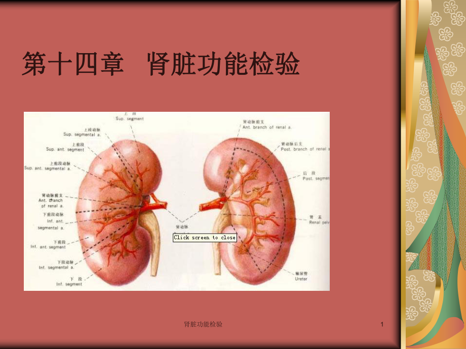 肾脏功能检验课件.ppt_第1页