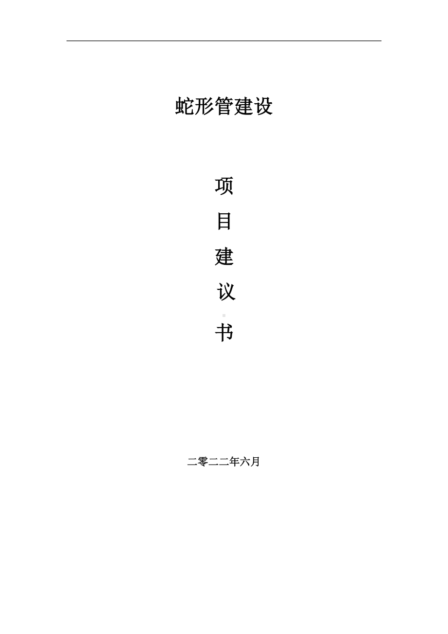 蛇形管项目建议书（写作模板）.doc_第1页