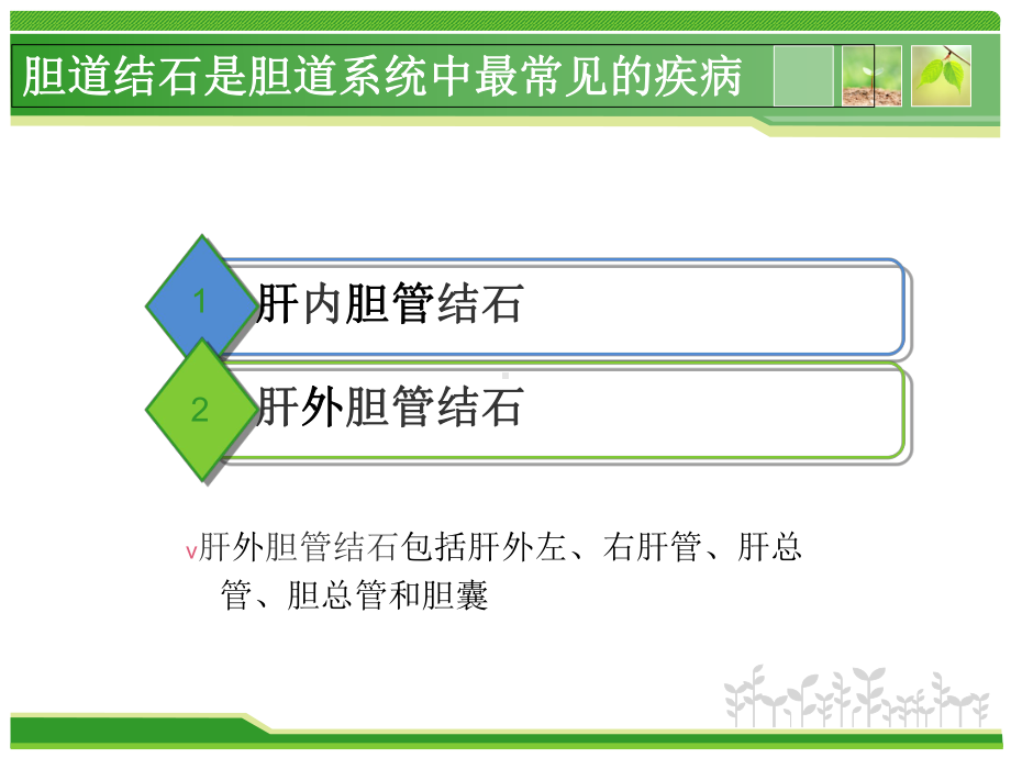 胆总管结石护理查房课件.ppt_第3页