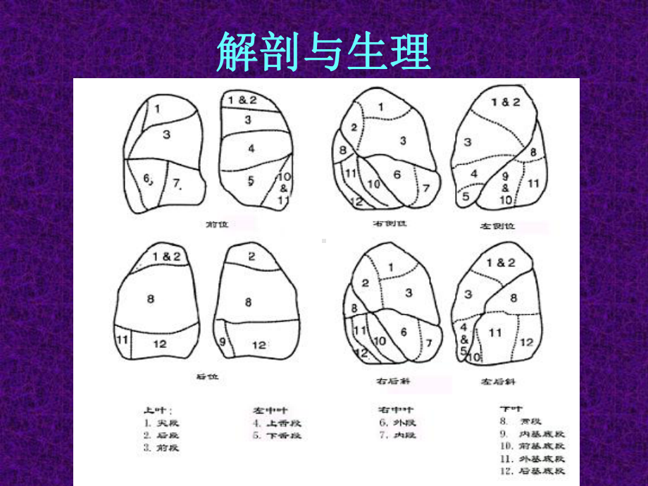 显像剂放射性气溶胶99Tcm课件.ppt_第2页