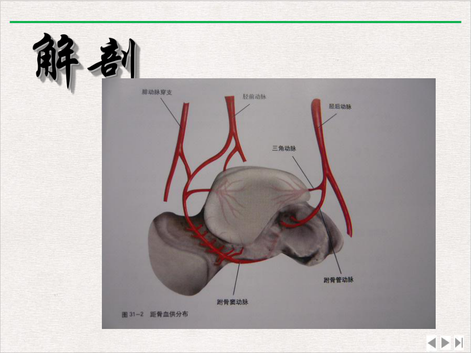 距骨坏死诊断及治疗骨科讲课课件.pptx_第1页