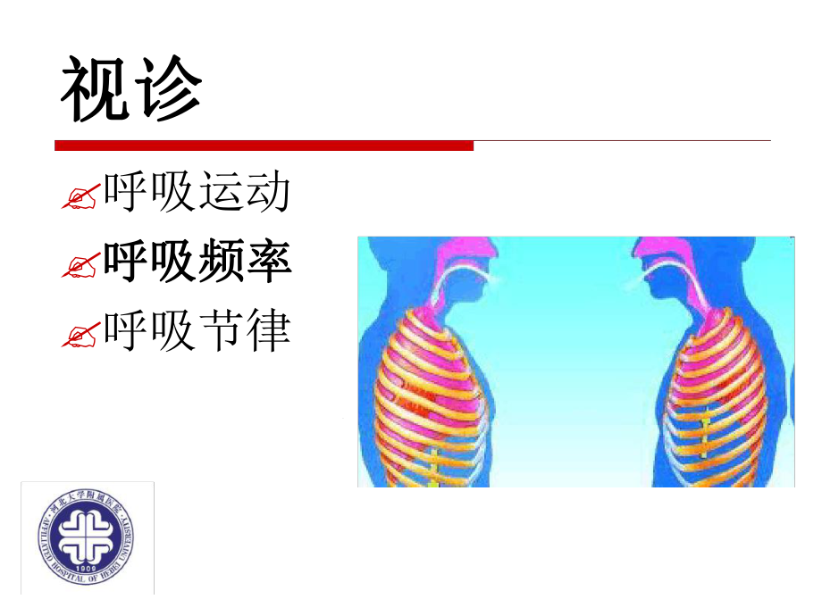 诊断学肺和胸膜一视诊课件.ppt_第3页