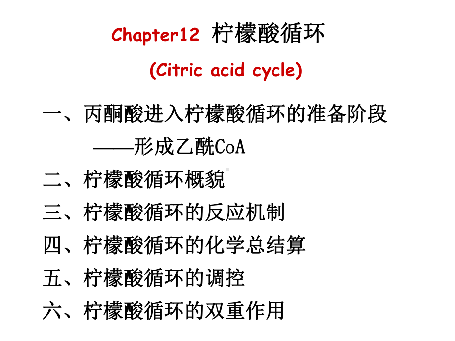 柠檬酸循环课件.ppt_第1页