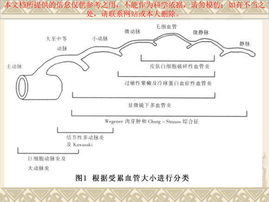 血管炎患者的治疗和医疗护理培训课件.ppt_第2页