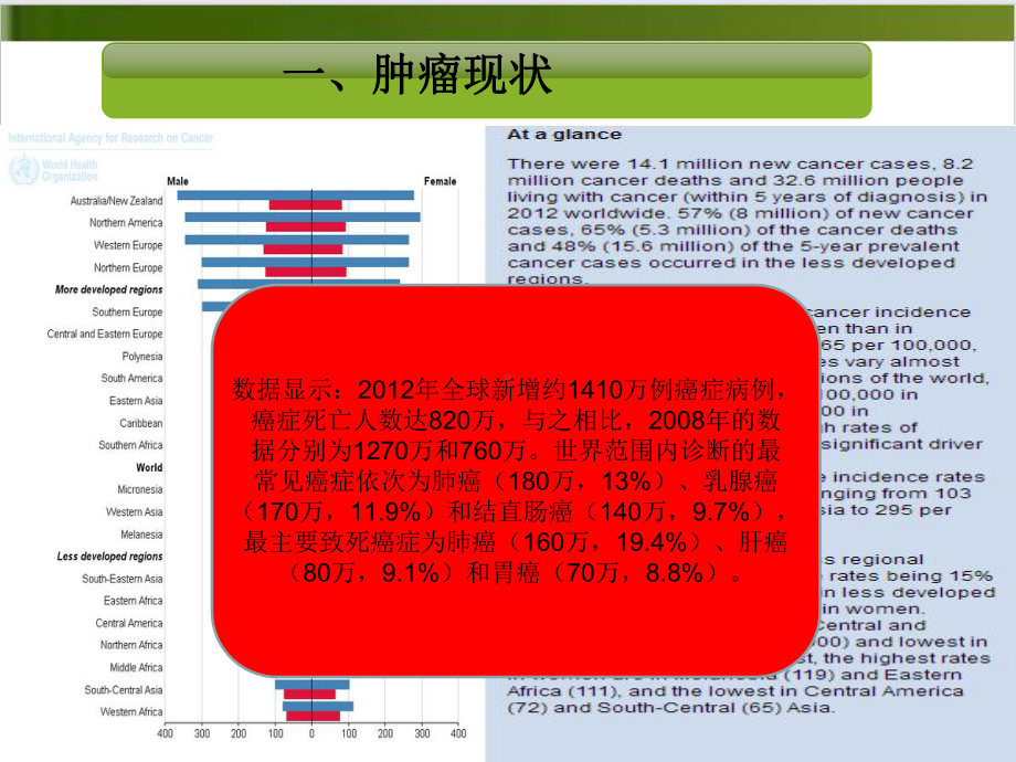 顺铂肾毒性研究进展培训教材课件.ppt_第2页