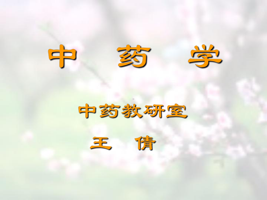 中药学-之总论课件.ppt_第1页