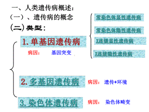 沪科版高中生命科学第三册《人类遗传病和遗传病的预防》课件.ppt