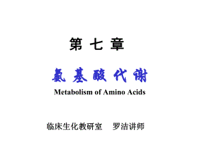 氨基酸代谢MetabolismofAminoAcids课件.ppt