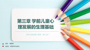 第三章学前儿童心理发展的生理基础课件.ppt