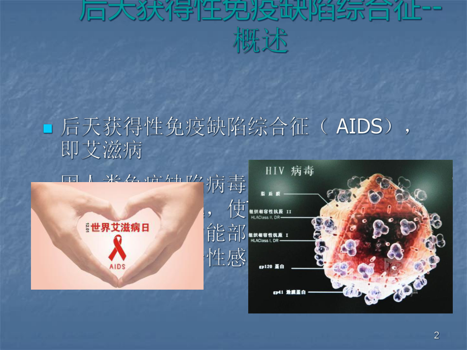 艾滋病营养治疗教学课件.ppt_第2页