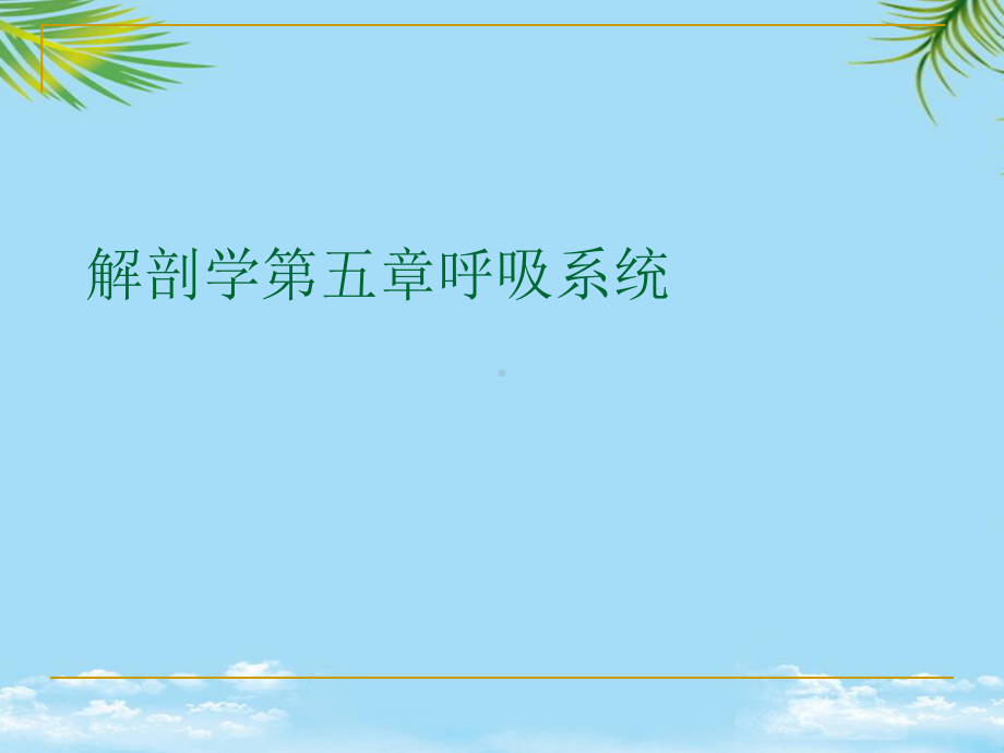 解剖学呼吸系统最全课件.ppt_第1页